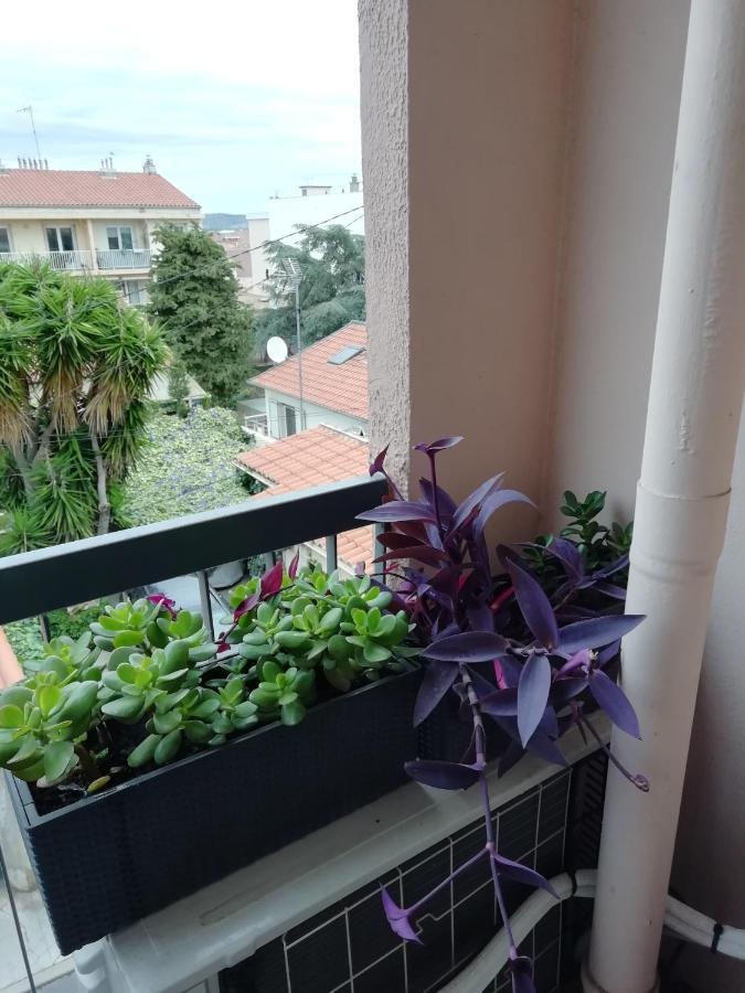 " Sete A Vous" Apartman Kültér fotó